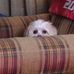 Gladys Thayer - Facebook