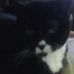 Gladys Thayer - Facebook