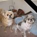 Gladys Trahan - Facebook