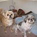 Gladys Trahan - Facebook