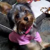 gladys tyler - @gladys.tyler4 - TikTok