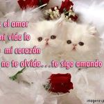 Gladys Vilchez - @gladysvilchez1 - Instagram