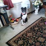 Gladys Weaver Bartsch - @gladysweaverbartsch - Instagram