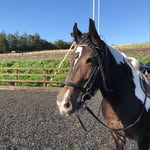 @mywelshgladys - Instagram