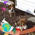 Gladys Wiggins - Facebook
