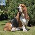 Gladys Wiggins - Facebook