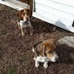 Gladys Wiggins - @gladyswiggins463 - Instagram
