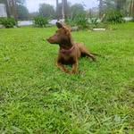 gladys de wilde - @gl.adis3068 - Instagram