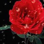 Gladys Lolem-Wilde - Facebook
