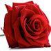 Gladys Williamson - Facebook