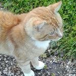 gladys - @gladyswolff - Instagram