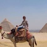 @gladyswolf - Instagram