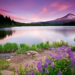 Gladys Wolfe - Facebook
