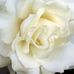 Gladys Wright - Facebook