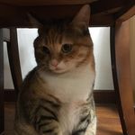 Gladys Wu - @gladys.wu.750 - Instagram