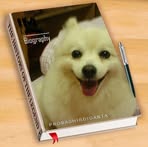Gladys Yang - Facebook