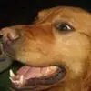 glennabel676 - @glennabel676 - TikTok