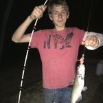 Glen Alexander Pearson - @glenalexanderpearson - Instagram