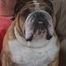 Glen Barber - Facebook