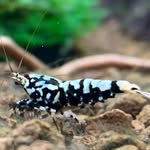 Glen - @glenbarber - Instagram