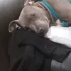 Glenn Barber - @glenn.barber - TikTok