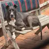 Glen Baxter - @glen.baxter3 - TikTok