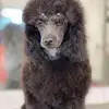 Glenda Baxter - @glenda.baxter8 - TikTok