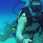 Glen Beaver - @elecbeaver - Instagram