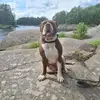 glennbergmann - @glennbergmann - TikTok