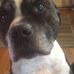 Glen Buller - Facebook