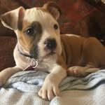 Glen Blevins - @glenblevins8471 - Instagram