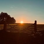 Glen Bloom - @bloom.g - Instagram