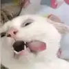Glenn Bolger - @glennbolger526 - TikTok