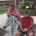 Glen Booher - Facebook