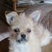 Glenda Booher - Facebook
