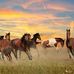 Glenn Bowles - Facebook