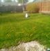 Glen Buckner - Facebook