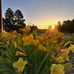 Glendora Burnside - Facebook