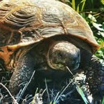 Glen Carney - @mrflaker - Instagram