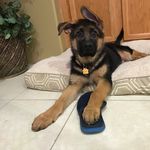 Glen Carson - @williamglencarson - Instagram