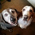 Cathey Williams Anglen - @cathey.williamsanglen - Instagram