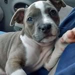 glen charles - @charles_glen - Instagram