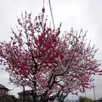 Km Pot - @glenn.chua.58 - Instagram