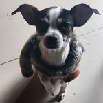Glen Close - @glen.cita - Instagram