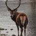 Glen Coe - Facebook