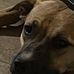 Glenn Coe - Facebook