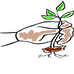 Glen Cole's Twin Cedars Nursery - Facebook
