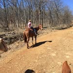 Glen Cone - @glencone - Instagram