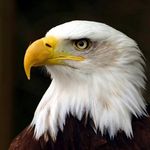 Glen Conkling - @conklingglen - Instagram