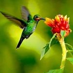 Glenda Crabtree - @glenda.crabtree1971 - Instagram